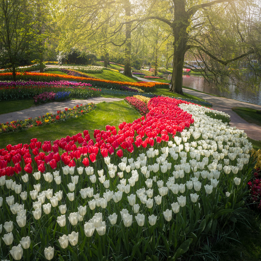 Keukenhof