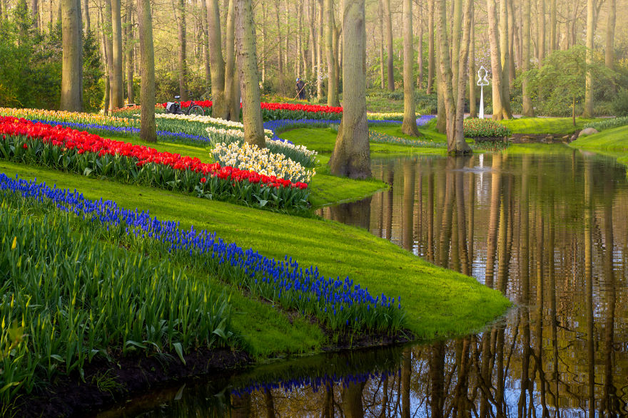 Keukenhof 7