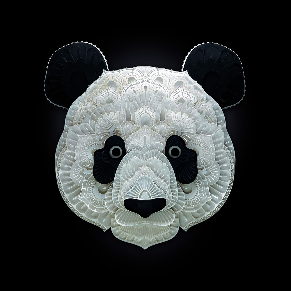 panda