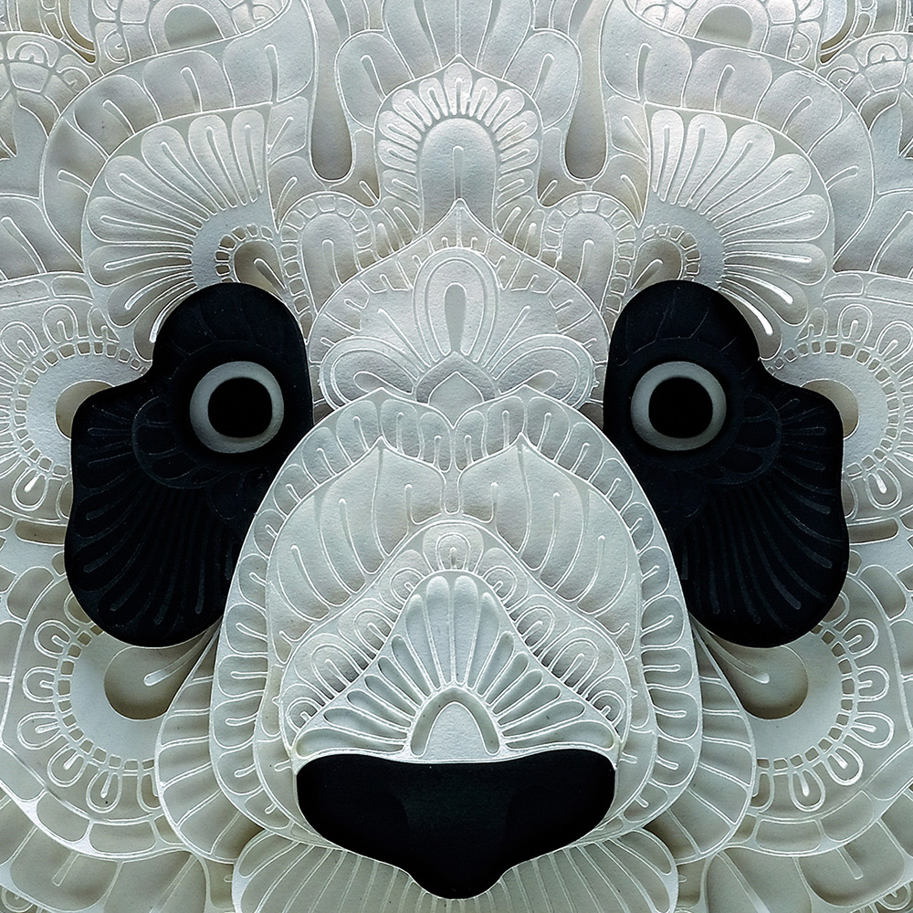 panda detail