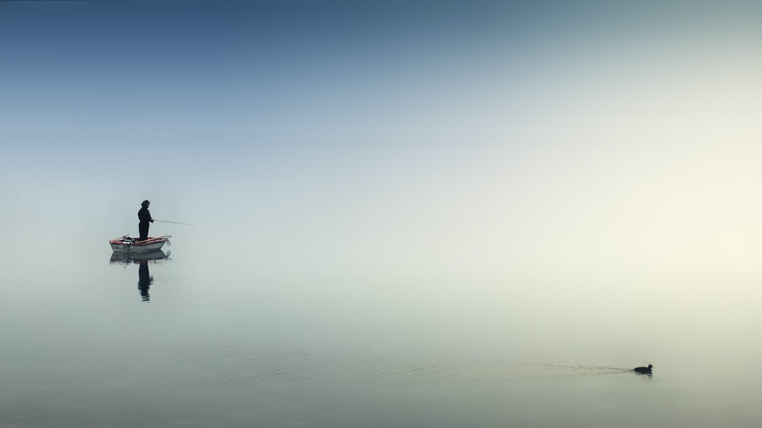 photo 1495293453185 532fbd0a872c