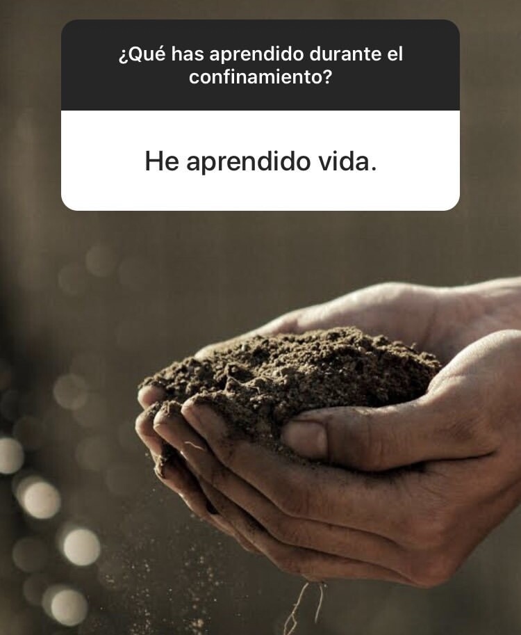 respuesta27