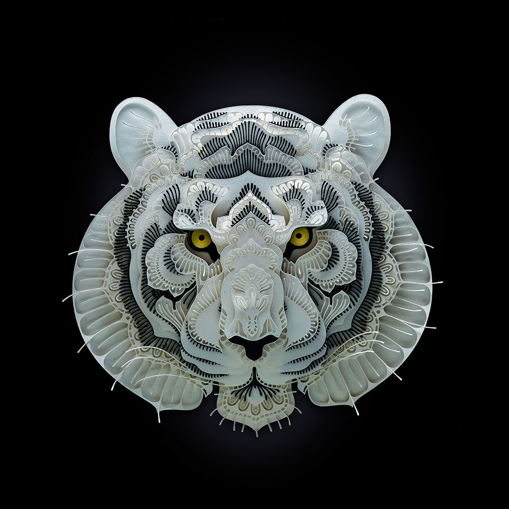 tiger