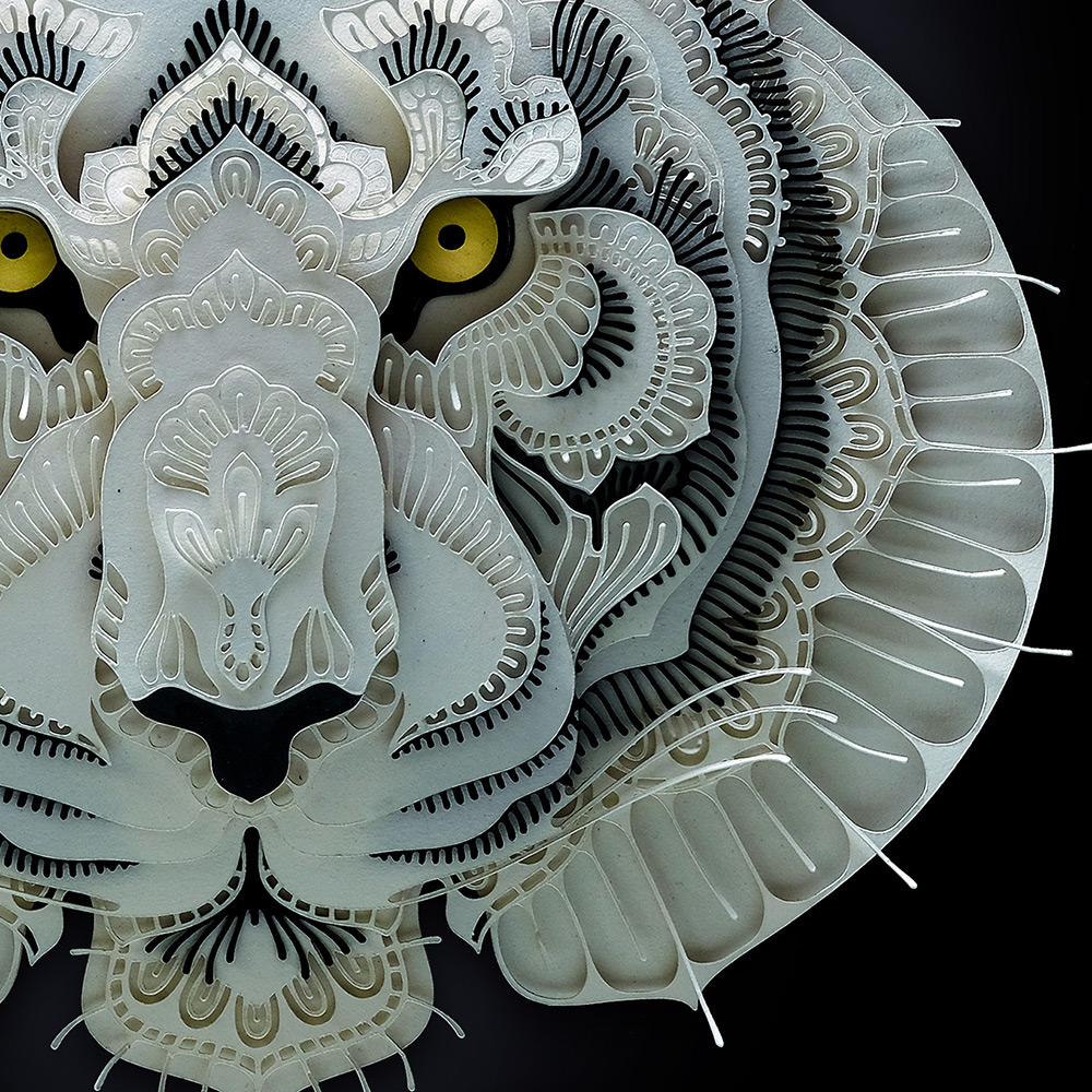 tiger detail