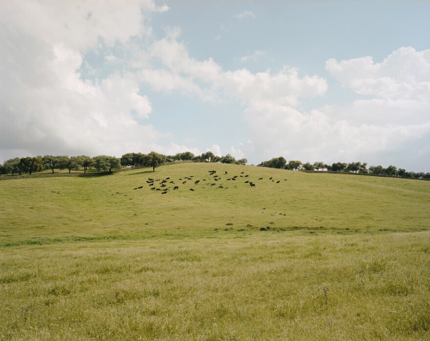 countryfictions fotografia culturainquieta5