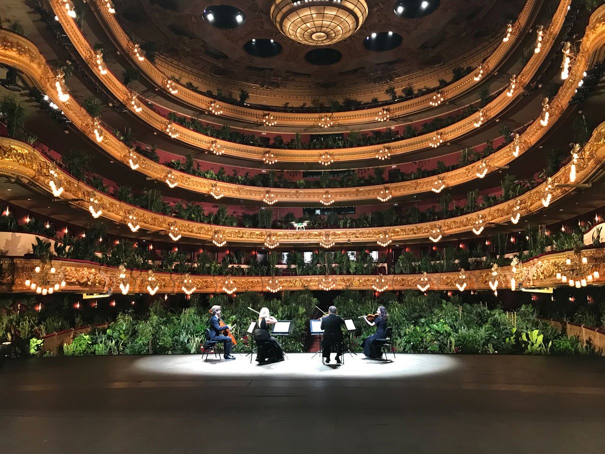 El Liceu de Barcelona ofrece un concierto insólito con 2.292 plantas como únicas espectadoras