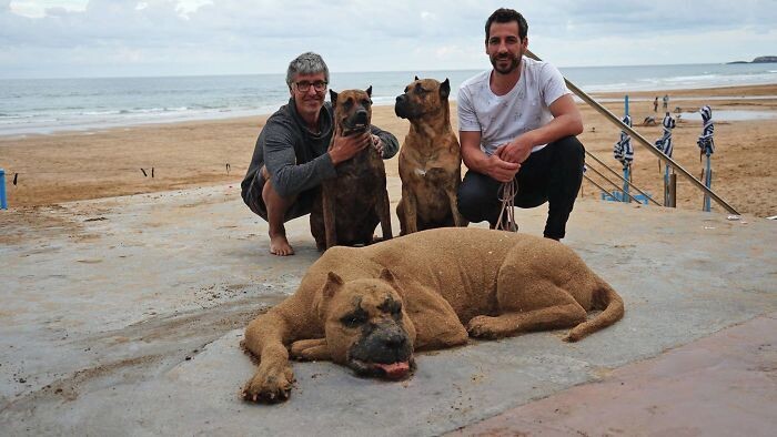 escultura arena de perro hecha por andoni bastarrika