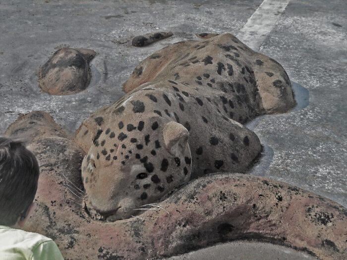 escultura arena leopardo de andoni bastarrika