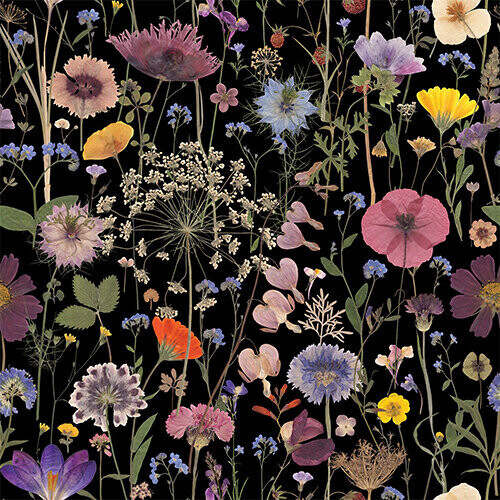 Ilustración con flores prensadas de Helen Ahpornsiri