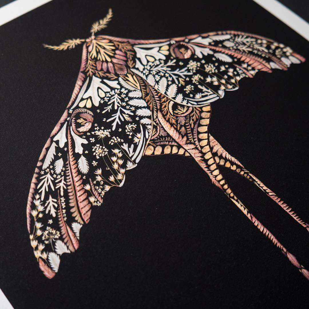 Ilustración con flores prensadas de Helen Ahpornsiri