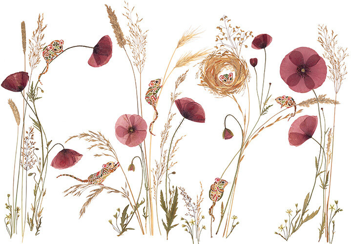 Ilustración hecha con flores prensadas por Helen Ahpornsiri