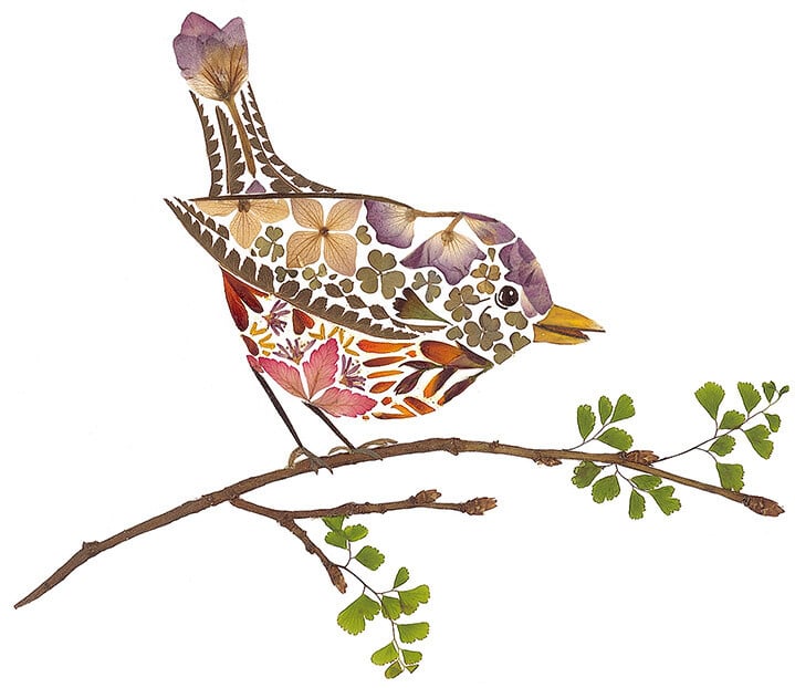 Ilustración pájaro hecha con flores prensadas de Helen Ahpornsiri