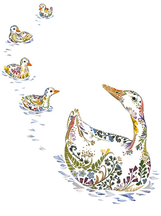 Ilustración oca hecha con flores prensadas por Helen Ahpornsiri