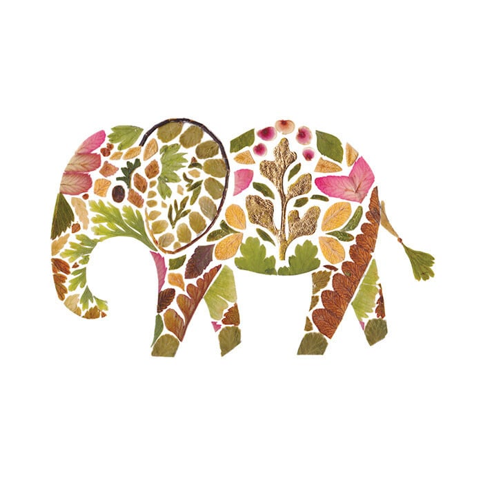 Ilustración elefante con flores prensadas de Helen Ahpornsiri