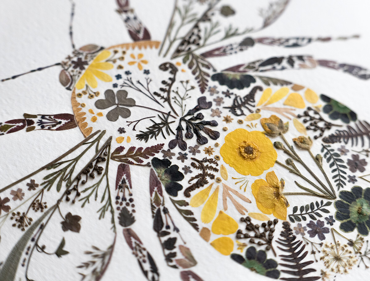 Ilustración con flores prensadas de Helen Ahpornsiri