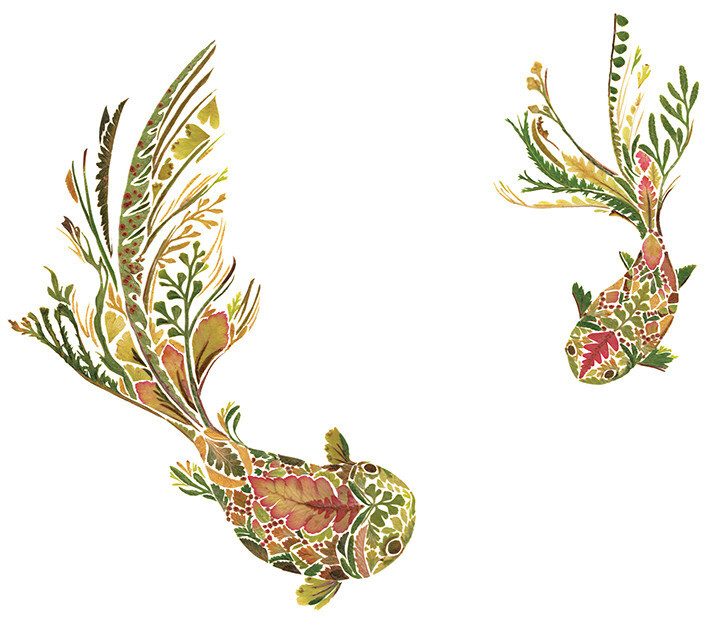 Ilustración peces con flores prensadas de Helen Ahpornsiri