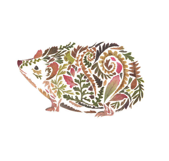 Ilustración erizo con flores prensadas de Helen Ahpornsiri