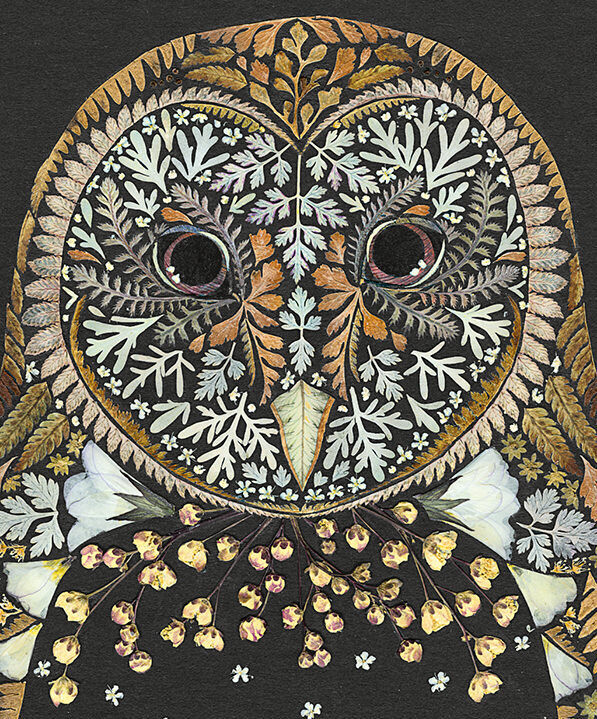 Ilustración con flores prensadas de Helen Ahpornsiri