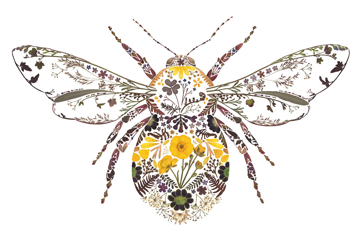 Ilustración de un insecto hecha con flores prensadas por Helen Ahpornsiri