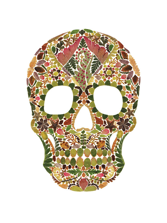 Ilustración calavera con flores prensadas de Helen Ahpornsiri