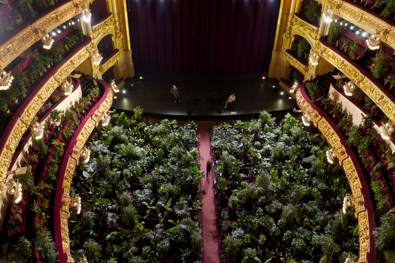 liceu 4