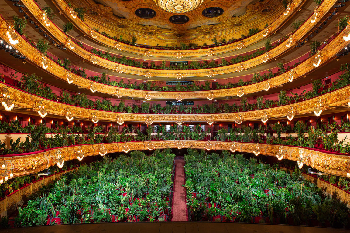 liceu 5