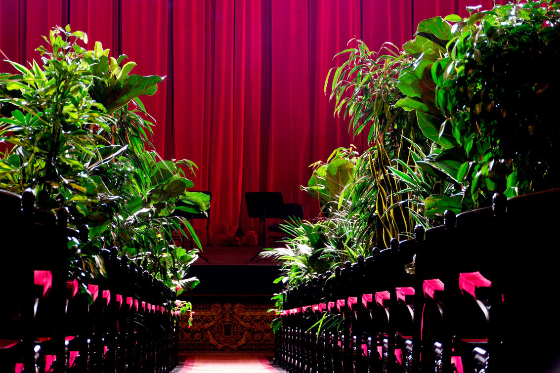 liceu 6