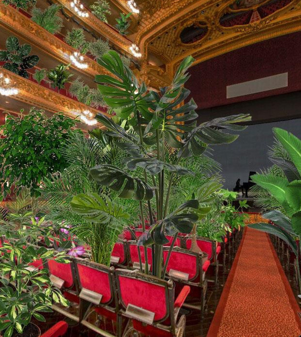 plantas liceo barcelona