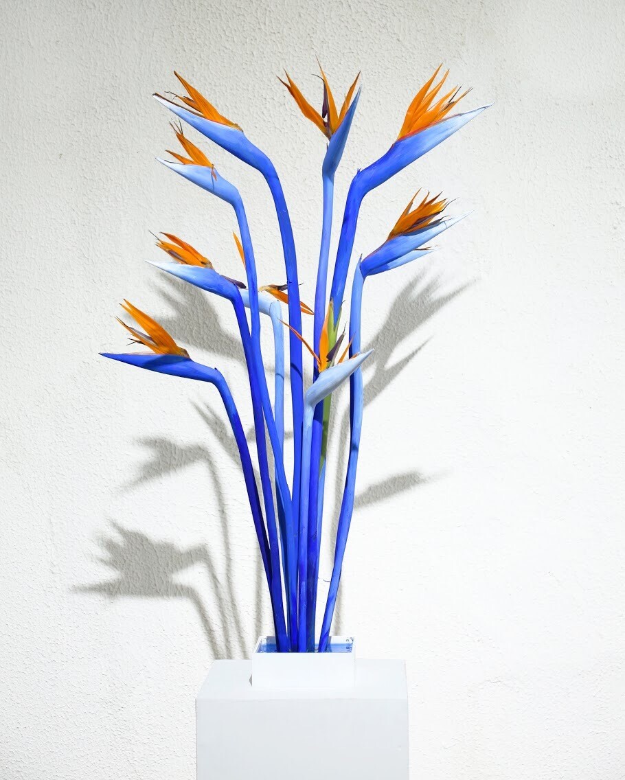 Escultura botánica de Sophie Parker