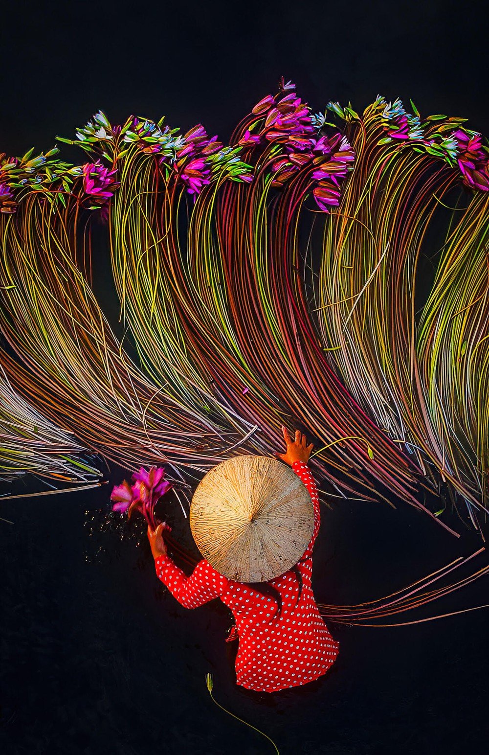 trung huy pham2