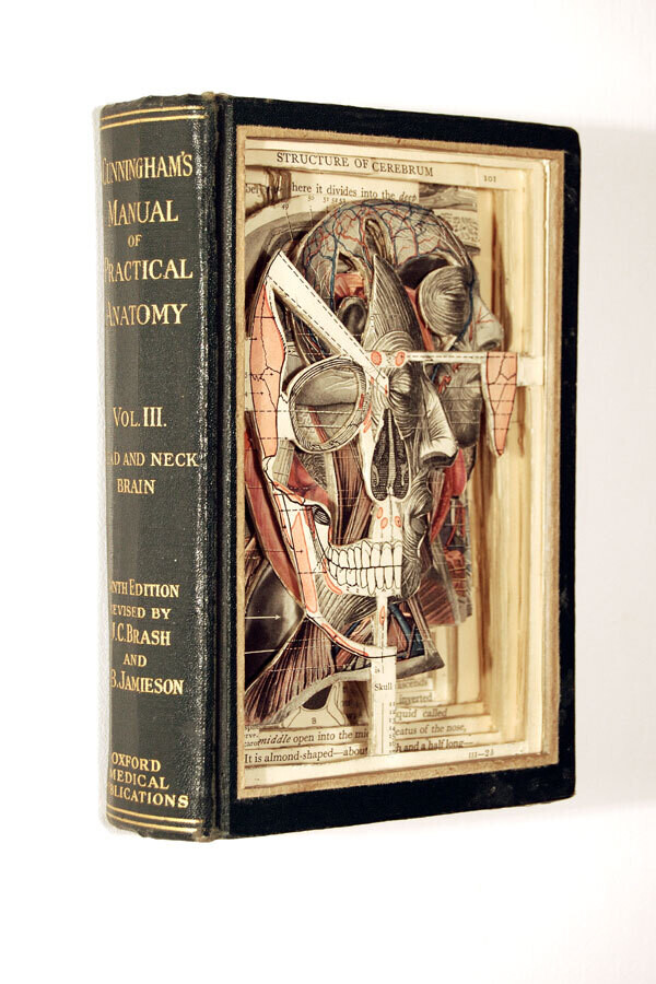 briandettmer libro manualidades 0 1