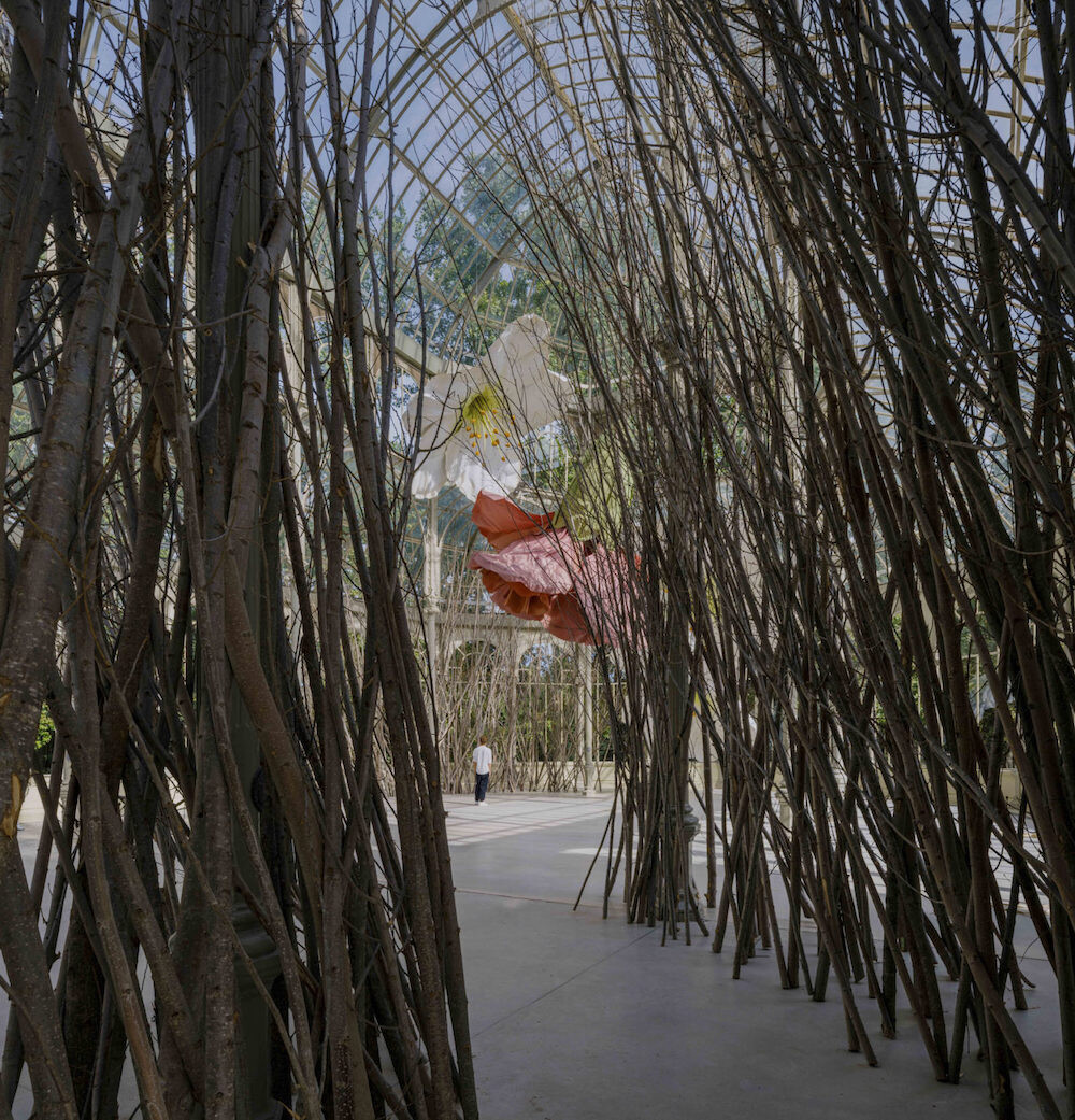 etrit halilaj culturainquieta12
