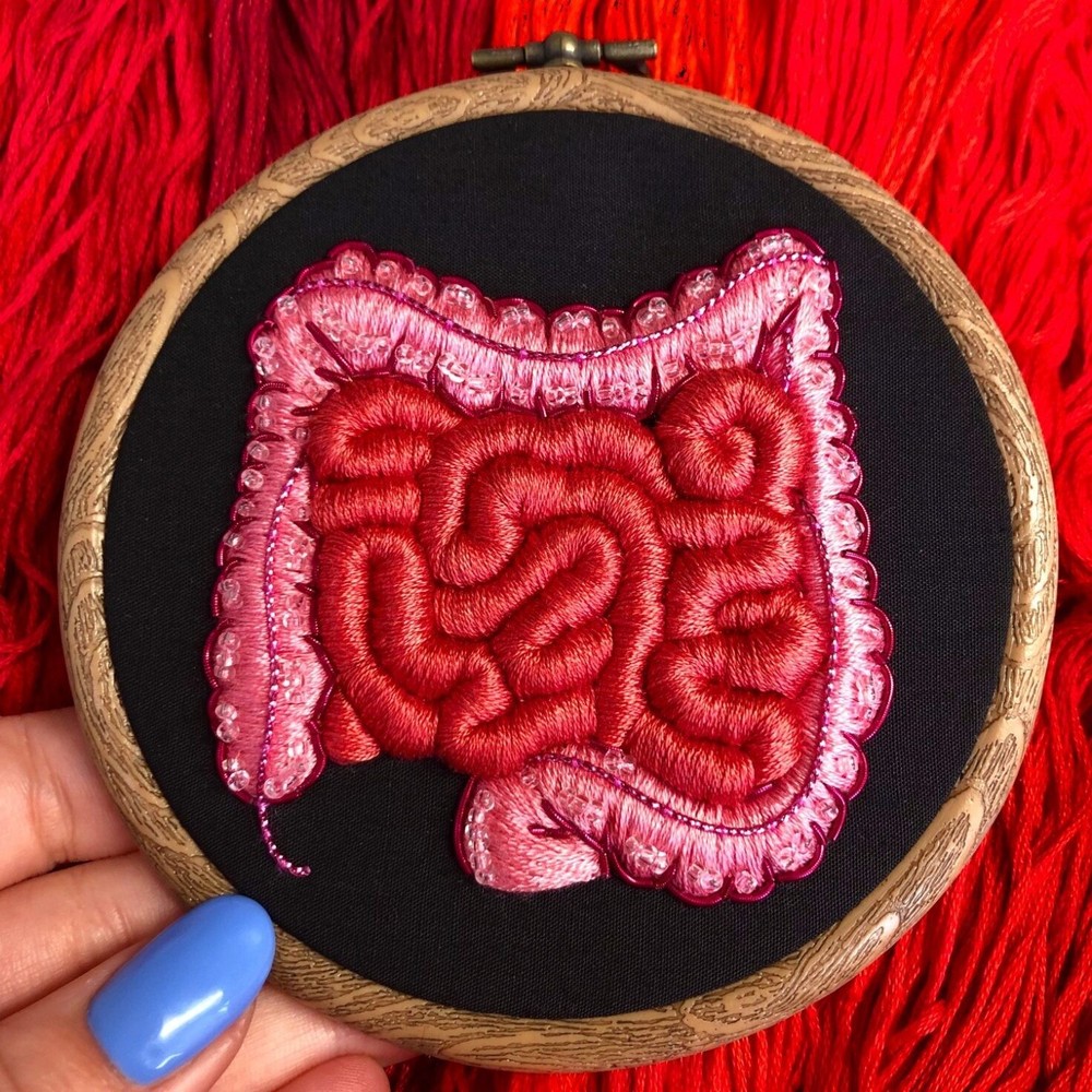 anatomía bordados2