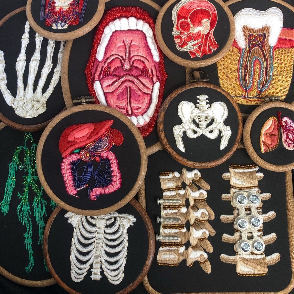 anatomía bordados4