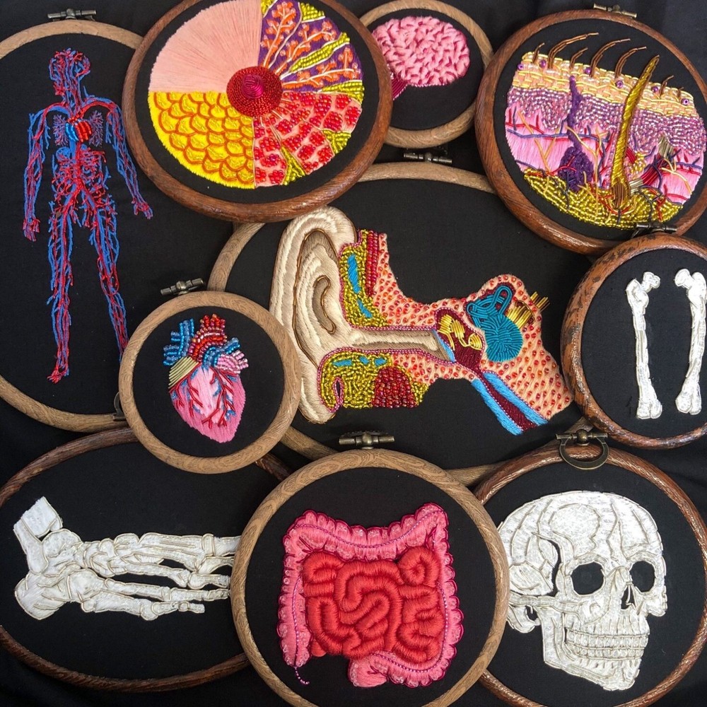 anatomía bordados5