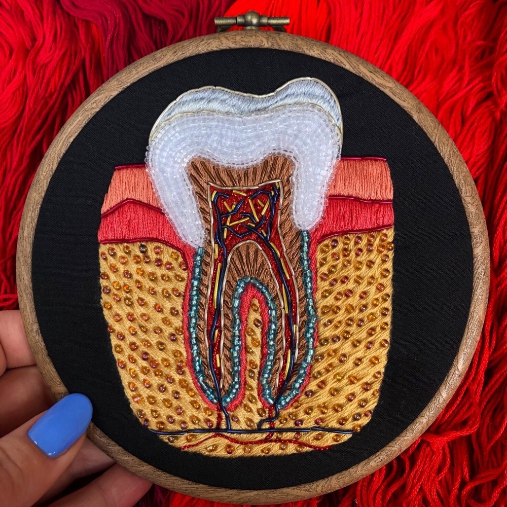 anatomía bordados6