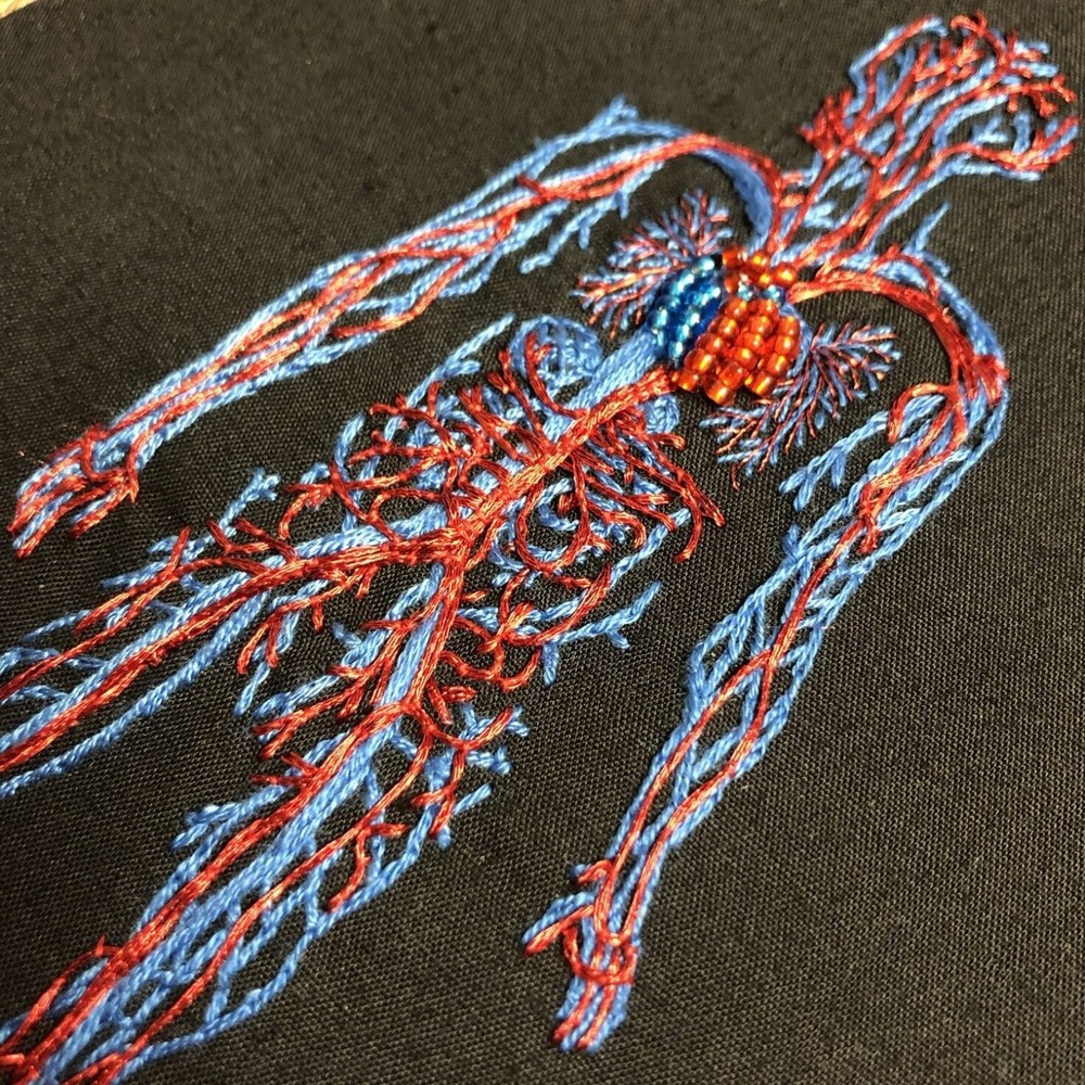 anatomía bordados8