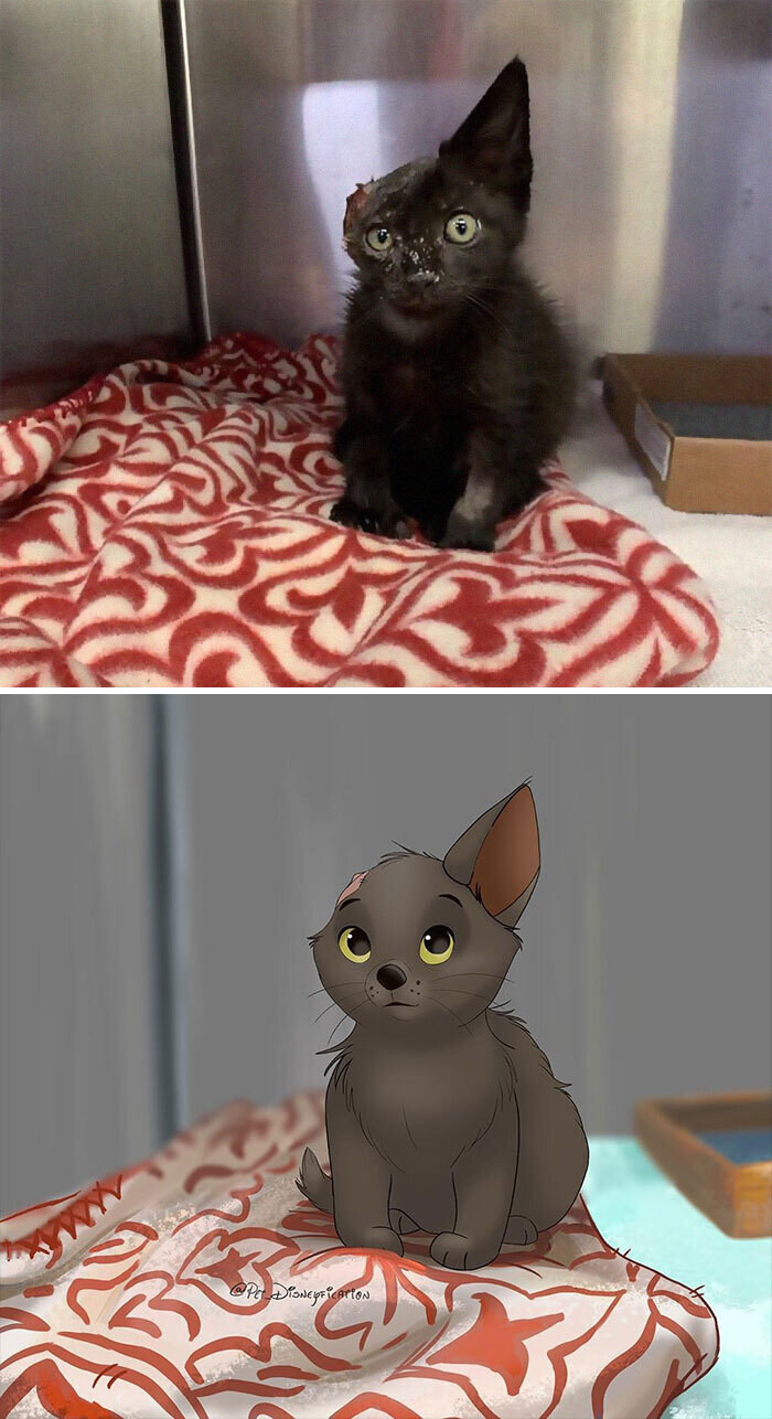 animal disney