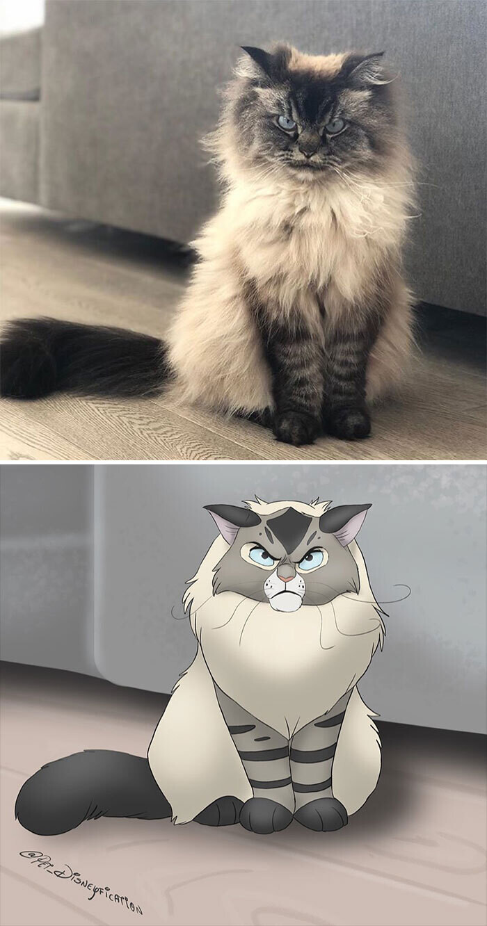 animal disney.jpg13