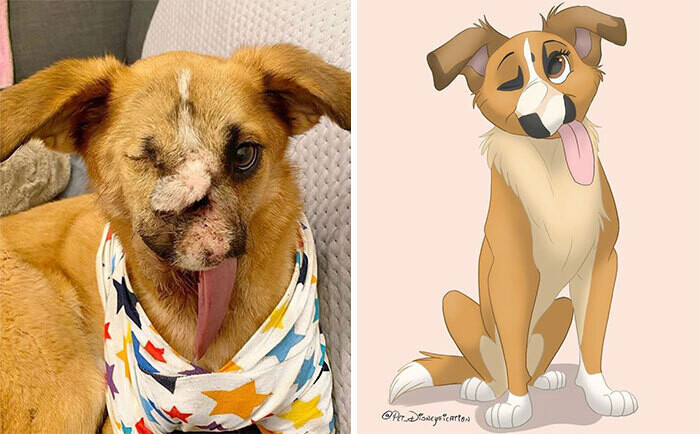 animal disney.jpg15