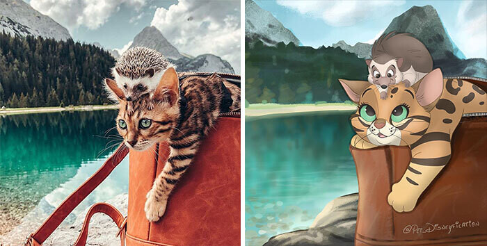 animal disney.jpg18