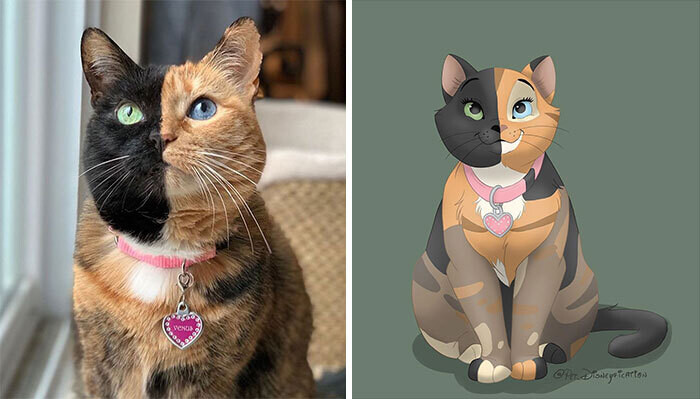 animal disney.jpg19