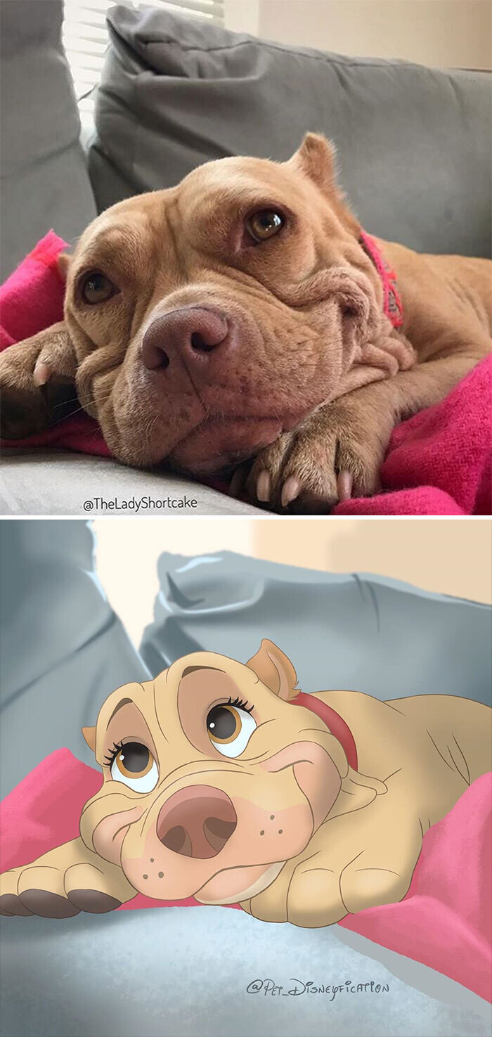 animal disney.jpg2