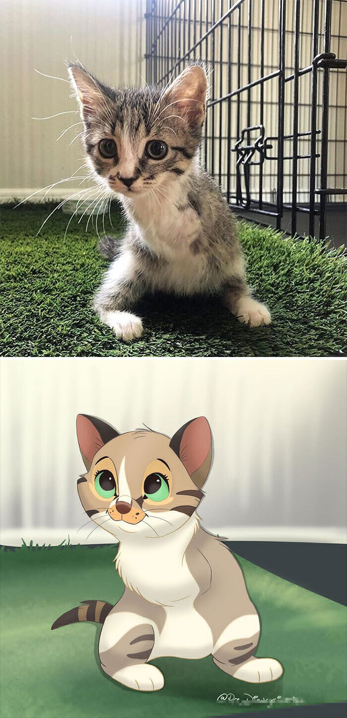 animal disney.jpg22