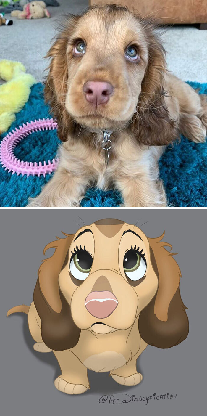 animal disney.jpg28