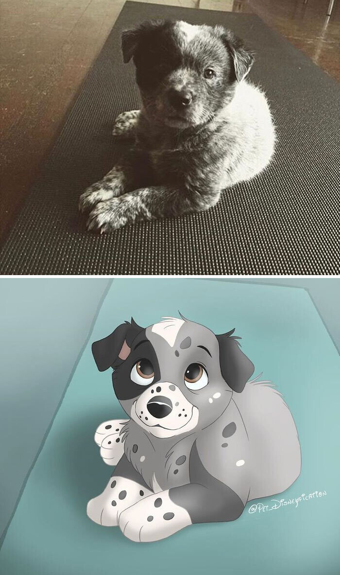 animal disney.jpg30