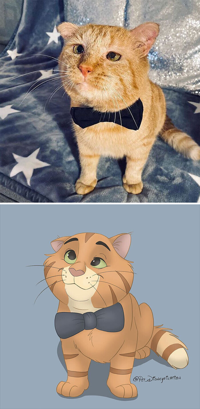 animal disney.jpg4