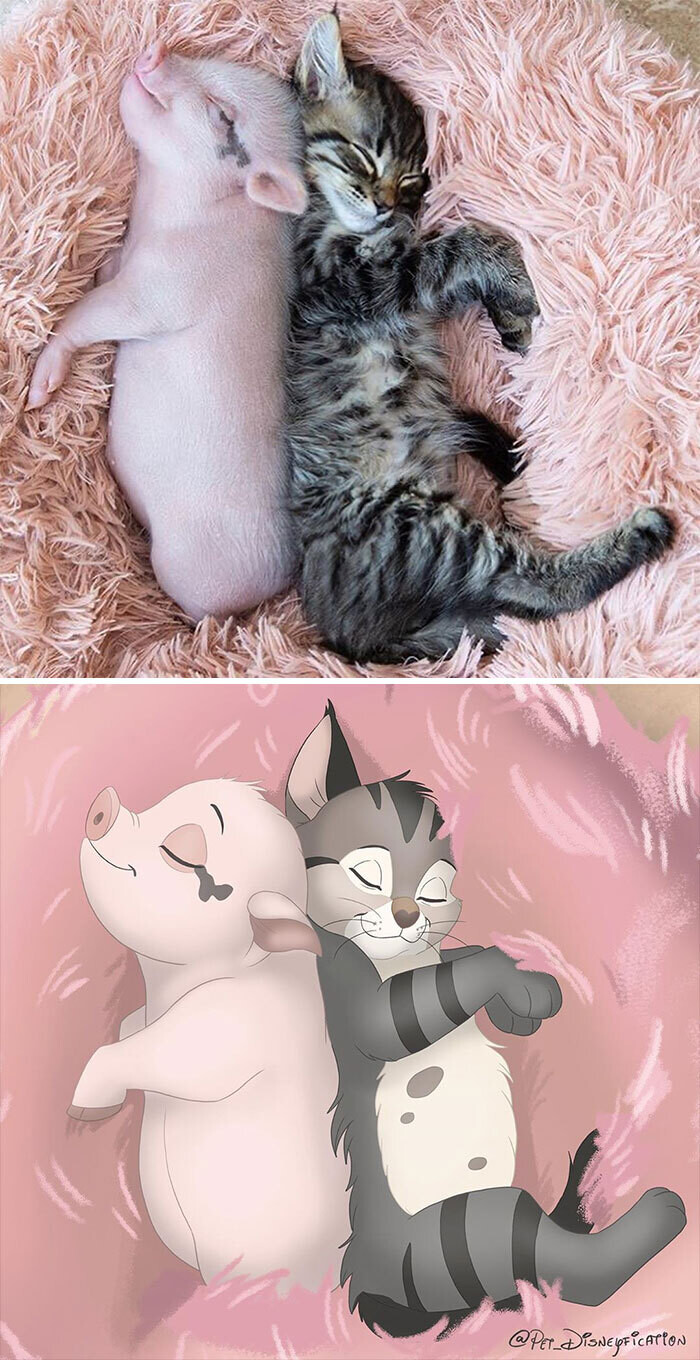 animal disney.jpg6