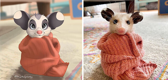 animal disney.jpg8
