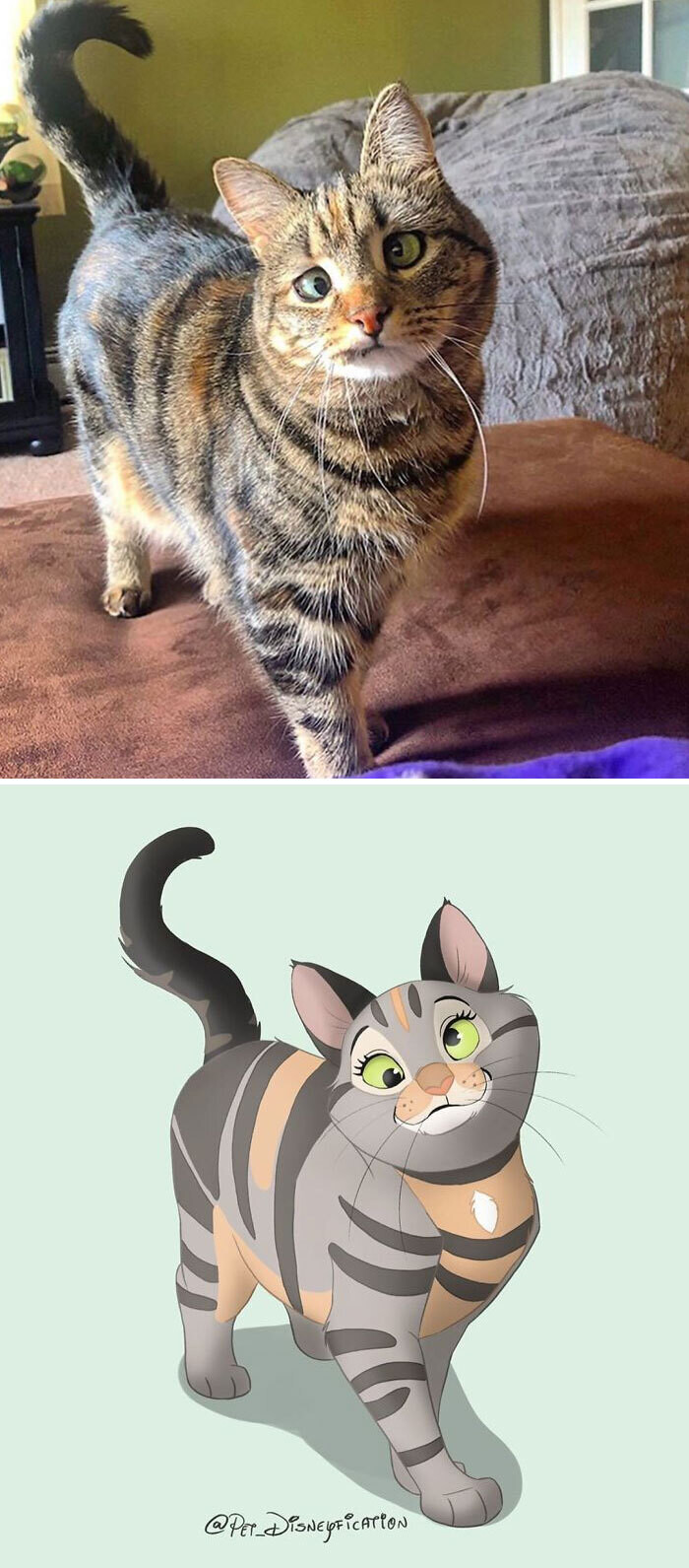 animal disney.jpg9